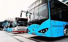 Various BYD buses: K8A, K9FE, C9, C8, K6, T8SA, T3