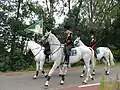 Parade of schutterij St. Jan