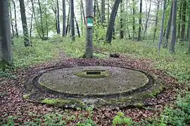 Last preserved Bachem Ba 349 Natter launch pad in the Hasenholz.