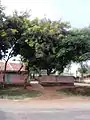 Government school