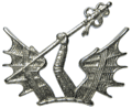 Other ranks beret badge