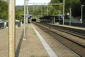 Railway tracks leading into tunnel bracketed by platforms