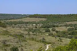 View towards the Doeskin Ranch trailhead