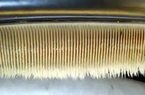 Image 27Accessory baleen plates taper off into small hairs (from Baleen whale)