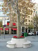 Planter-bench in Paseo de Gracia.