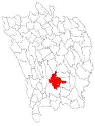 Location in Vaslui County