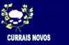 Flag of Currais Novos