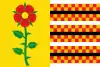 Flag of Concello de Mos