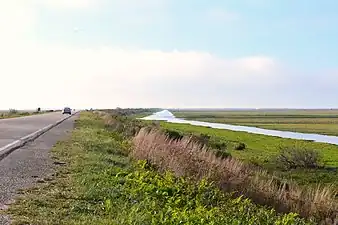 Taim Ecological Station to the north of the park