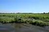 Bure Broads and Marshes