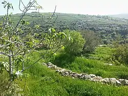 Pastoral view of Baraachit