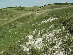 Steppe landscape in Central Black Earth Nature Reserve, Gorshechensky District