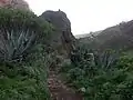 Barranco de Agaete