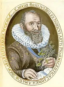 Portrait of Basilius Besler from 1613