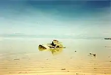 An M4 Sherman rests in the lagoon.