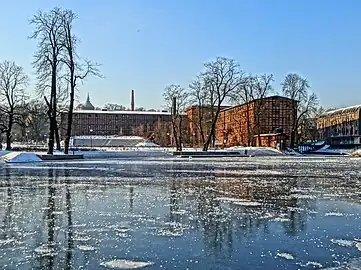 View from Brda river