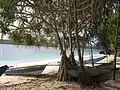 Tutuala beach, in front of Jaco island