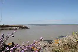 View from the port with flowering bushes in the foreground, the port in middle distance and the bay stretching to the horizon under a blue sky with few clouds