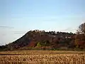 Beeston Castle viewed from the south, built on a rocky summit 110 m (360 ft) above the Cheshire Plain