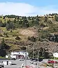 Beach Hill, just behind the ferry dock, consists of an alternation of grasses and conifers