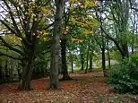 Woodlands near the old mansion house.