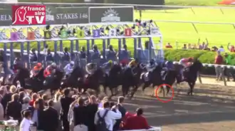 Horses leaving the Belmont Park starting gate at the beginning of a horse race