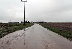 A completely flat landscape.  A wet, muddy road stretches in the distance, dead straight, flanked by empty, wet fields.  A wooden electricity pole is a sudden vertical element.  The wires follow the road down to some farm buildings in the middle distance