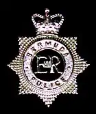 Badge of the Bermuda Police Service