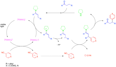 Diagram of Photoredox beta-arylation of aldehydes