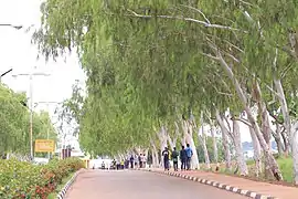 Students on campus grounds