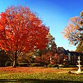 Biemesderfer Executive Center at Millersville University, behind autumn trees of gold