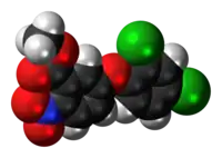 Space filling model