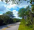 State Road 94 in Big Cypress N. P.