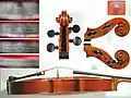 Otello Bignami Viola scroll and side Firenze1976