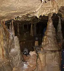 Stalagmites in the Bing Cave