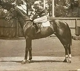 Biplane, 1917 winner