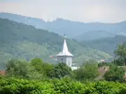 Church in Merișor