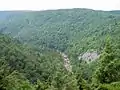 Blackwater River Gorge viewed from the lodge in Blackwater Falls State Park