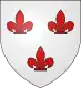 Coat of arms of Haacht