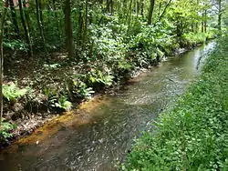 The River Meiße near Bleckmar