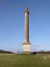 Column of Victory, Blenheim Palace