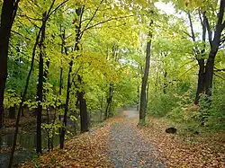 Bloordale Park is a municipal park in Markland Wood