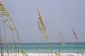 The coast of Walton County is fringed by emerald Gulf waters.