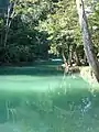 Blue Creek River, Belize