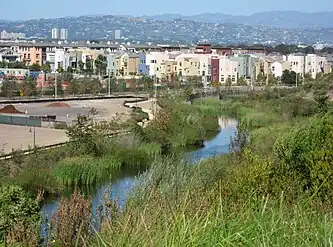 Playa Vista from the south, with Bluff Creek in foreground