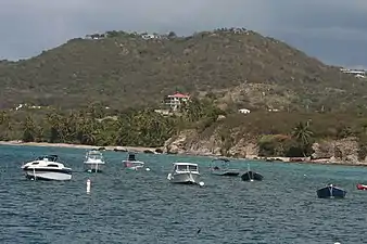 Boats in Esperanza