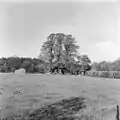 Farm house, Vresselse weg, May 1970