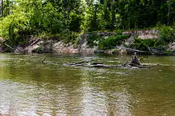 Image 9Bogue Chitto State Park (from Louisiana)