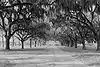 Slave Street, Smokehouse, and Allee, Boone Hall Plantation