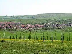 General view